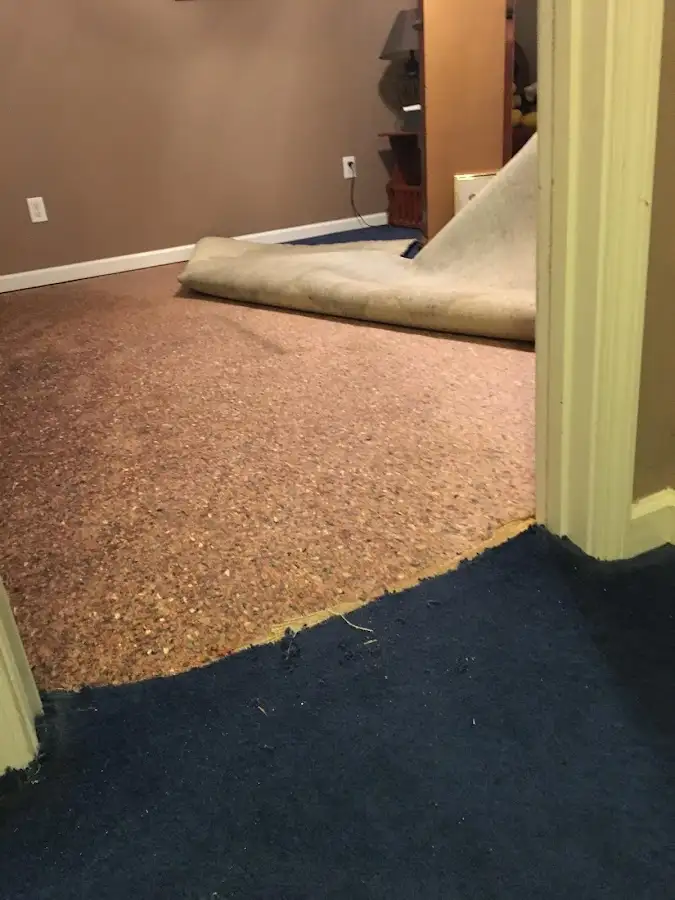 Carpet pad removal revealing water damage during Drying & Dehumidification in Lake Worth Beach