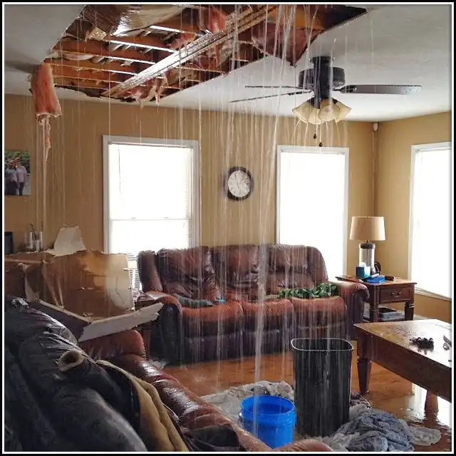 Water Damage Restoration services in Lake Worth Beach, FL