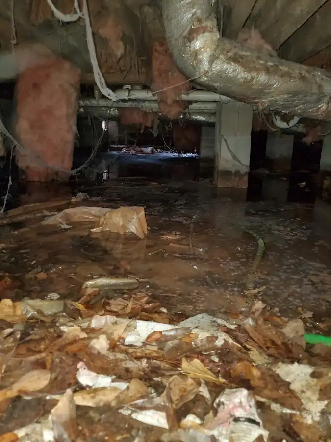 Crawl space flood assessment for Leak Detection & Repair in Lake Worth Beach